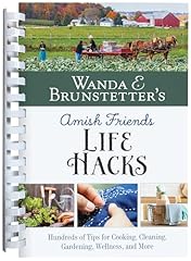 Wanda brunstetter amish for sale  Delivered anywhere in USA 