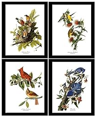 Vintage audubon wall for sale  Delivered anywhere in USA 