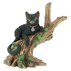 Nemesis onyx cat for sale  Delivered anywhere in USA 