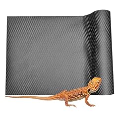 Duedusto bearded dragon for sale  Delivered anywhere in USA 