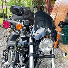 Lorababer motor windshield for sale  Delivered anywhere in USA 