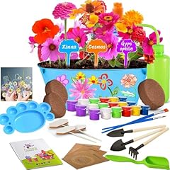 Paint plant flower for sale  Delivered anywhere in UK