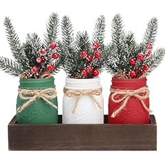 Winter mason jars for sale  Delivered anywhere in USA 