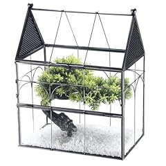 Homtone cm terrarium d'occasion  Livré partout en France