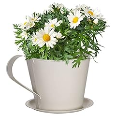 Dibor flowerpot novelty for sale  Delivered anywhere in Ireland