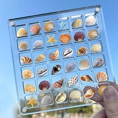 Seahui seashell display for sale  Delivered anywhere in UK