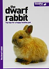 Dwarf rabbit good for sale  Delivered anywhere in UK