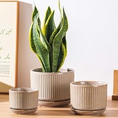 Beige ceramic plant for sale  Delivered anywhere in USA 