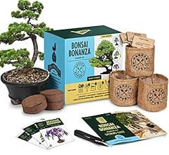 Bonsai tree kit for sale  Delivered anywhere in USA 