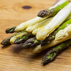 Asparagus vittorio crowns for sale  Delivered anywhere in UK