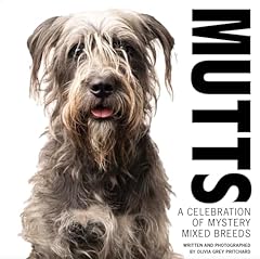 Mutts celebration mystery for sale  Delivered anywhere in USA 