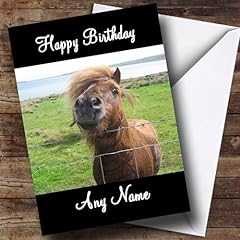 Shetland pony personalised for sale  Delivered anywhere in UK