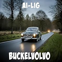 Buckelvolvo gebraucht kaufen  Wird an jeden Ort in Deutschland