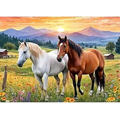 Qenspe diamond painting d'occasion  Livré partout en France
