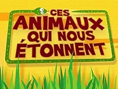 Animaux étonnent d'occasion  Livré partout en France