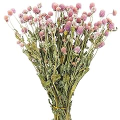 Jojaze dried flower for sale  Delivered anywhere in USA 