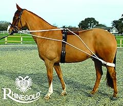 Rhinegold training system for sale  Delivered anywhere in UK