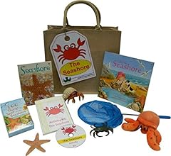 Activity kit seashore for sale  Delivered anywhere in UK