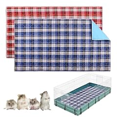 Pcs guinea pig for sale  Delivered anywhere in USA 