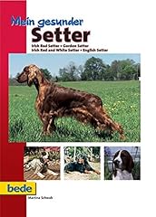 Mein gesunder setter for sale  Delivered anywhere in UK