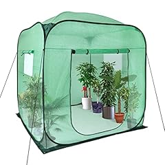 Upgraded pop plant for sale  Delivered anywhere in USA 