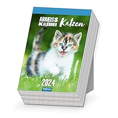 Trötsch abreißkalender katze gebraucht kaufen  Wird an jeden Ort in Deutschland