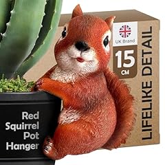 Wrenbury red squirrel for sale  Delivered anywhere in UK