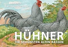 Postkarten set hühner gebraucht kaufen  Wird an jeden Ort in Deutschland