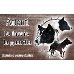 Attenti cane cane usato  Spedito ovunque in Italia 