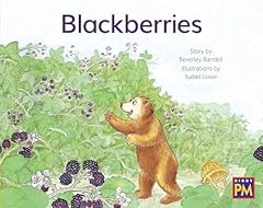Blackberries leveled reader for sale  Delivered anywhere in USA 