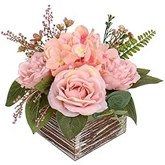 Dilatata flower arrangement for sale  Delivered anywhere in USA 