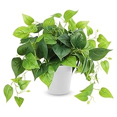 Cewor artificial plants for sale  Delivered anywhere in USA 
