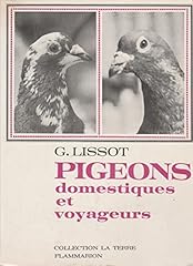 Pigeons domestiques voyageurs d'occasion  Livré partout en Belgiqu