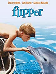 Flipper gebraucht kaufen  Wird an jeden Ort in Deutschland
