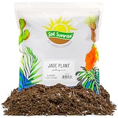 Jade plant potting for sale  Delivered anywhere in USA 