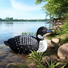 Loon outdoors bird for sale  Delivered anywhere in USA 