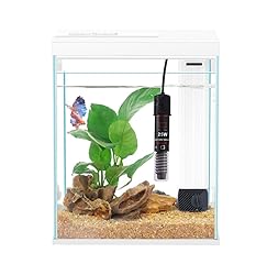 Glass betta fish for sale  Delivered anywhere in USA 