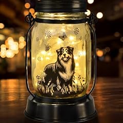 Kyoryuger border collie for sale  Delivered anywhere in USA 