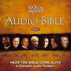 audio bible for sale  Delivered anywhere in USA 