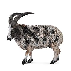 Collecta mouton jacob d'occasion  Livré partout en France