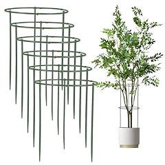 36pcs garden plant for sale  Delivered anywhere in Ireland