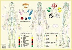 Meridians five elements gebraucht kaufen  Wird an jeden Ort in Deutschland