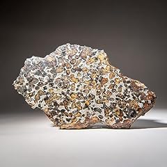 Genuine sericho pallasite for sale  Delivered anywhere in USA 
