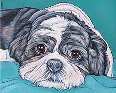 Shih tzu pet for sale  Delivered anywhere in UK