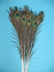 Natural peacock feathers for sale  Delivered anywhere in USA 