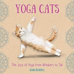 Yoga cats humorous for sale  Delivered anywhere in USA 