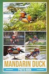 Mandarin duck photo for sale  Delivered anywhere in UK