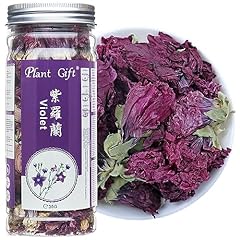 Plant gift dried for sale  Delivered anywhere in USA 