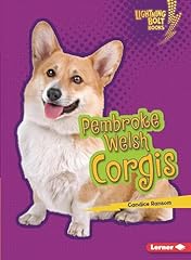 Pembroke welsh corgis for sale  Delivered anywhere in USA 