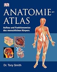 Anatomie atlas aufbau gebraucht kaufen  Wird an jeden Ort in Deutschland